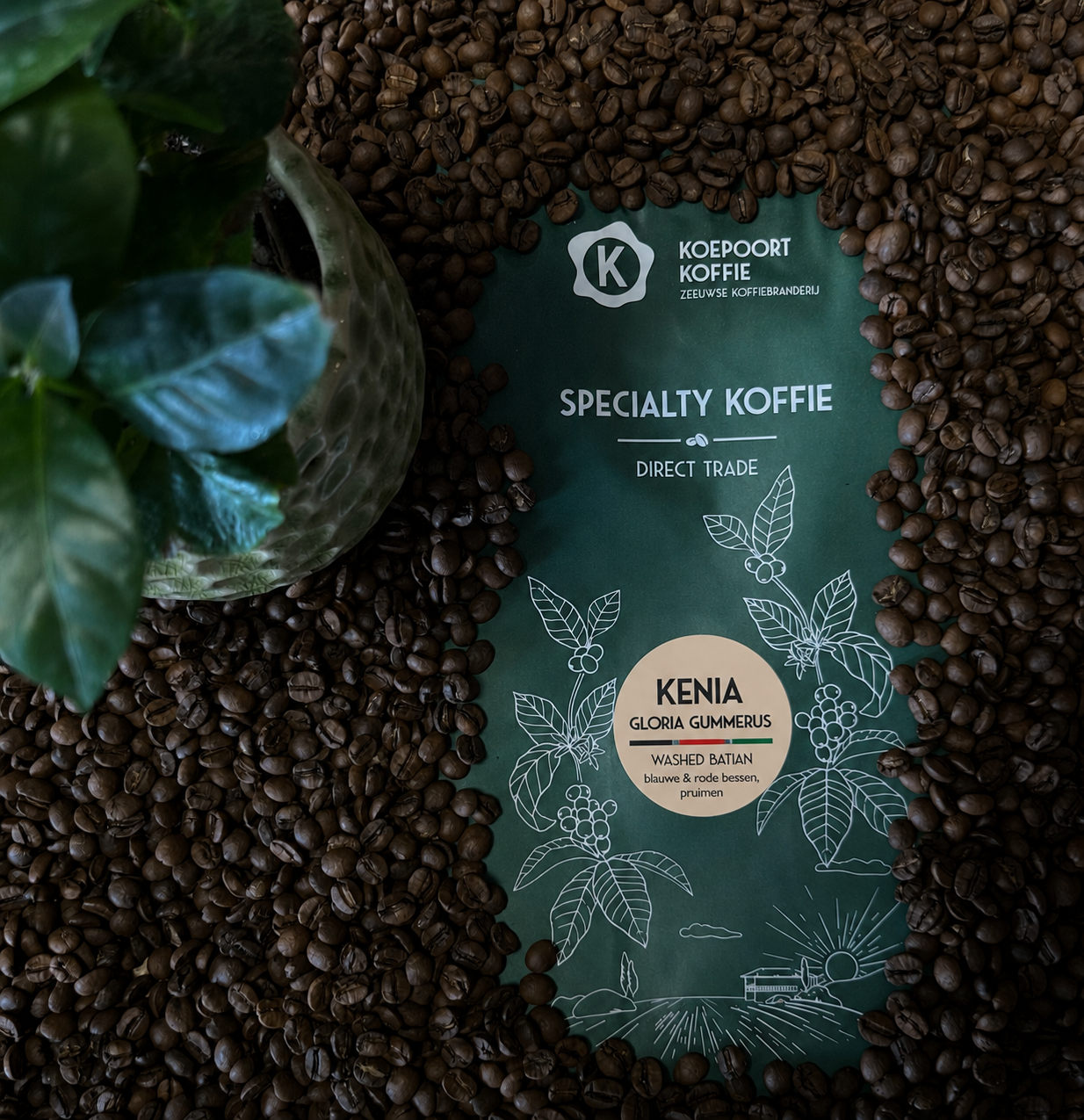 Keniaanse Sakami Gloria Arabica Washed Batian Direct Trade vers gebrande 1000 gram