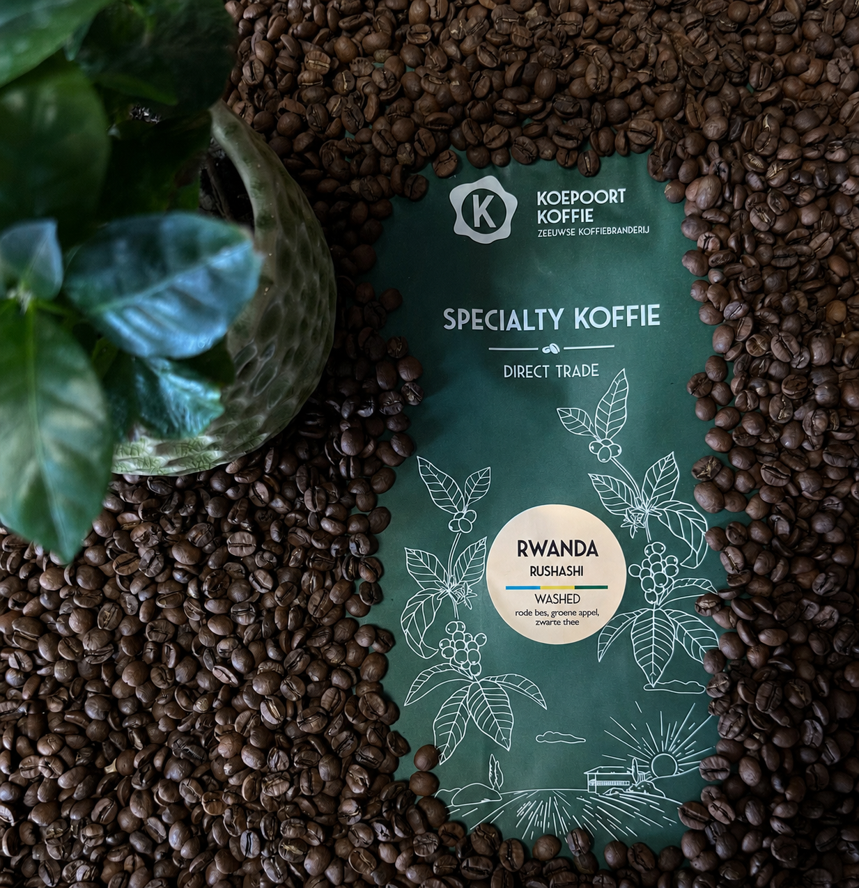Rwanda Rushashi Basic Blend Direct Trade vers gebrand 1000 gram