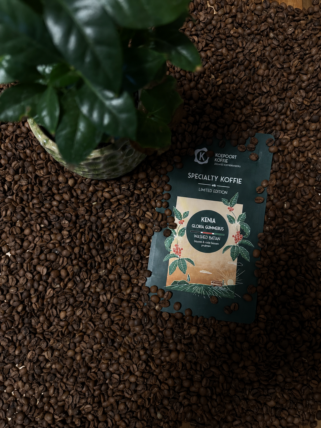 Limited Editions - Kenia Sakami single farmer lot - Gloria Gummerus washed batian - Direct Trade - vers gebrande koffie - 250 gram bonen