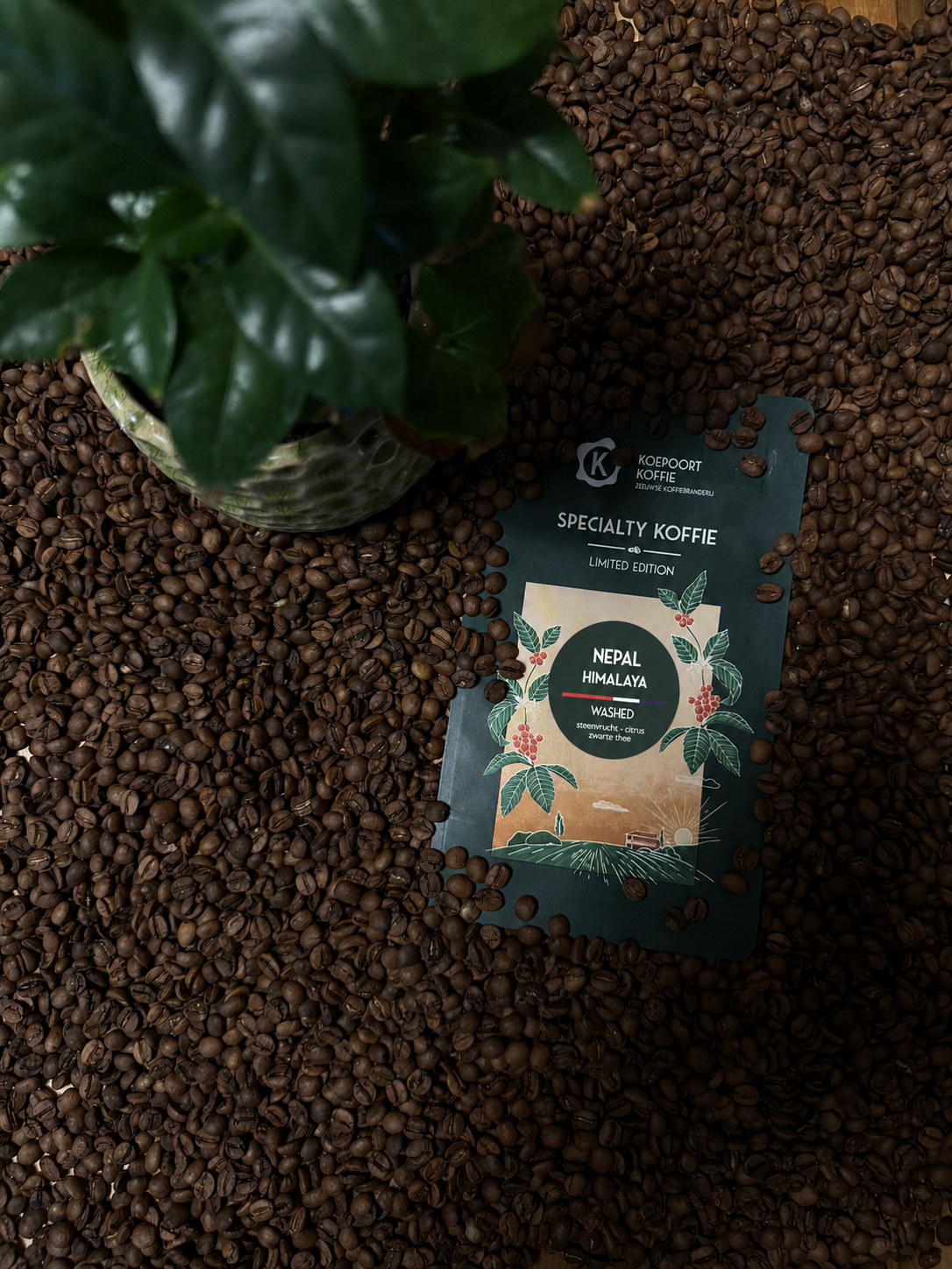 Limited Editions - Nepal Himalaya supreme - washed - Direct Trade - vers gebrand - 250 gram bonen