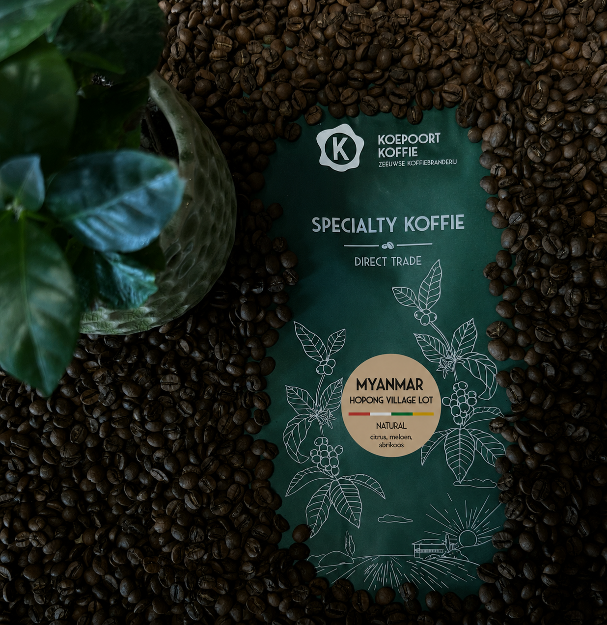 Myanmar Hopong basic blend Direct Trade vers gebrand 1000 gram