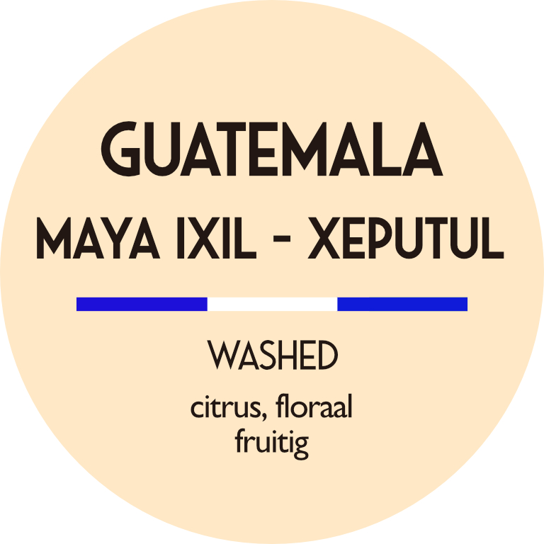 Guatemala Maya Ixil Xeputul washed Direct Trade vers gebrand 1000 gram