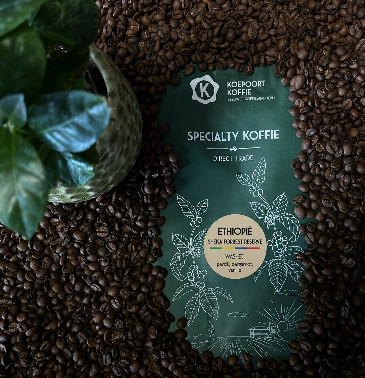 Ethiopië Sheka Forrest reserve Direct Trade vers gebrand 1000 gram