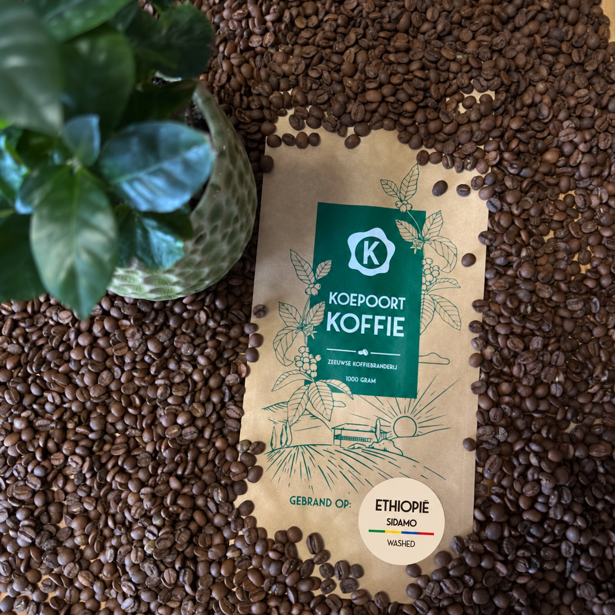 Ethiopië Sidamo vers gebrand 1000 gram