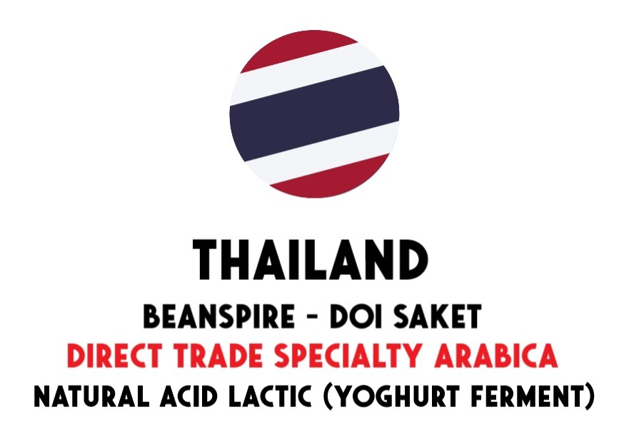 Thailand Doi Saket Yoghurt Lactic Fermentation – Direct Trade Ongebrande Groene Koffiebonen – 1 kg