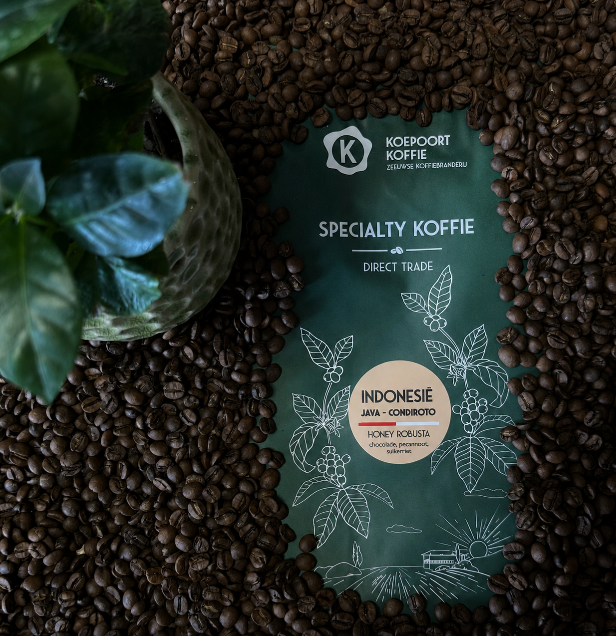 Indonesië Java Condiroto fine robusta Direct Trade Specialty vers gebrand 1000 gram