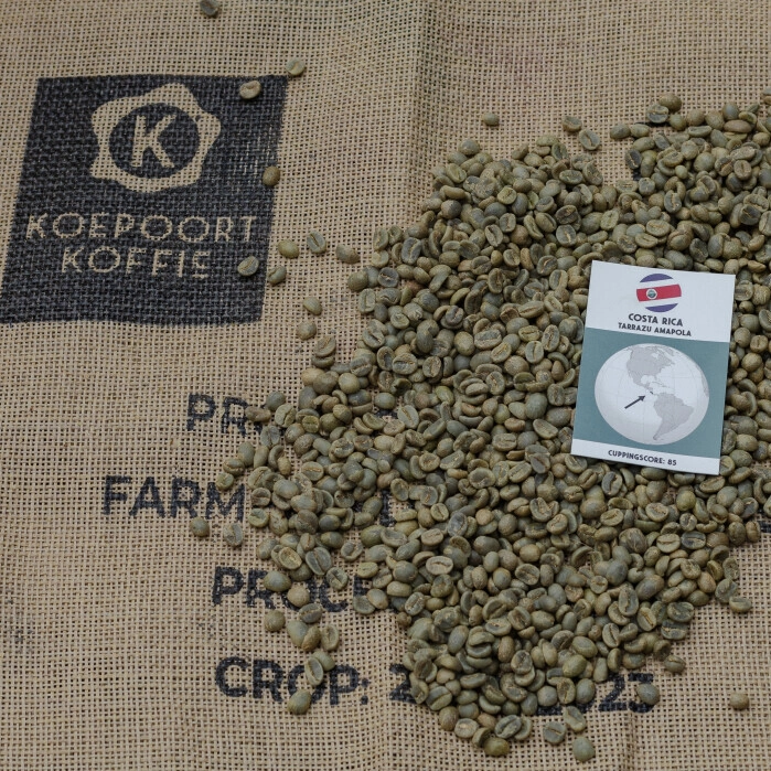 Costa Rica Tarrazu Amapola - ongebrand - 1 kg