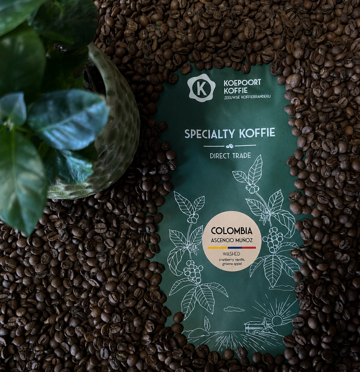 Colombia Argote Ascencio Munoz single farmer lot Direct Trade vers gebrand 1000 gram