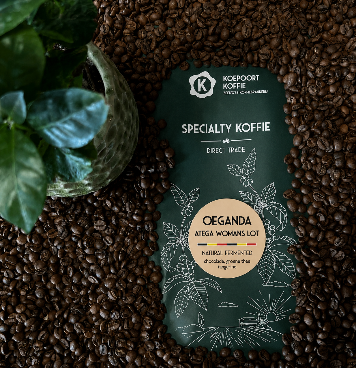 Oeganda Zombo - Atega womens microlot natural - Direct Trade - vers gebrande koffie - 1 kg