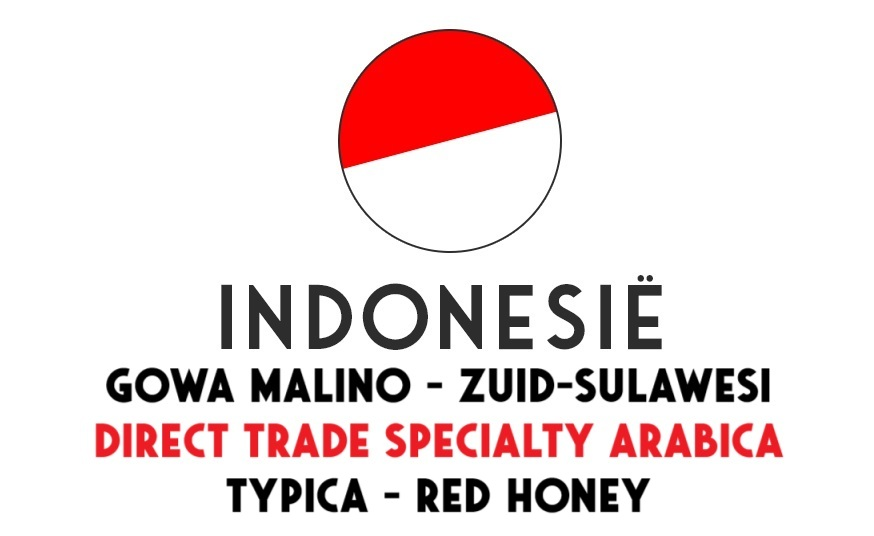 Indonesië Ontosoroh Coffee - Sulawesi Gowa Malino typica red honey - Direct Trade - ongebrand - 1 kg