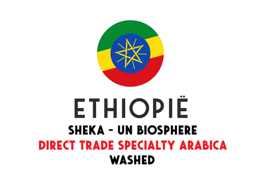 Ethiopië Sheka forrest reserve - Direct trade - ongebrand - 1 kg