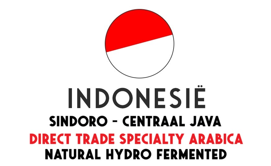 Indonesië Ontosoroh Coffee - Java Sindoro KoJoYo Hydro Fermentation - Direct Trade - ongebrand - 1 kg