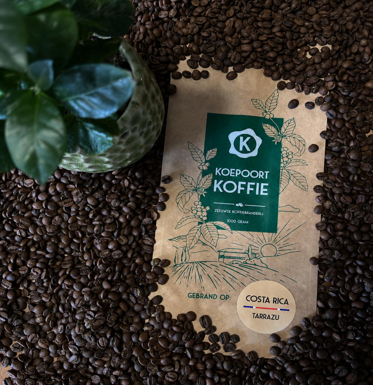 Costa Rica Tarrazú vers gebrand 1000 gram