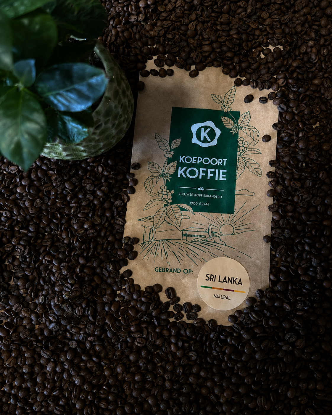 Sri Lanka natural vers gebrande koffie 1000 gram