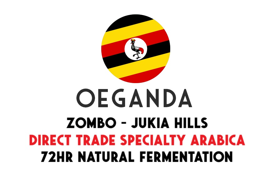 Oeganda Zombo - Jukia Hills 72hrs fermented - Direct Trade - ongebrand - 1 kg