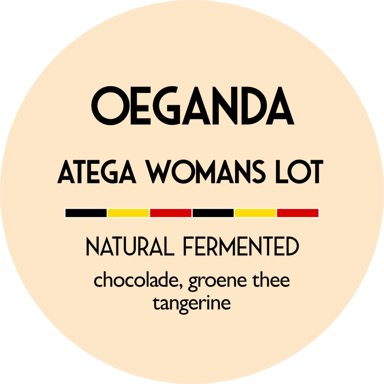 Oeganda Zombo - Atega womens microlot natural - Direct Trade - vers gebrande koffie - 1 kg