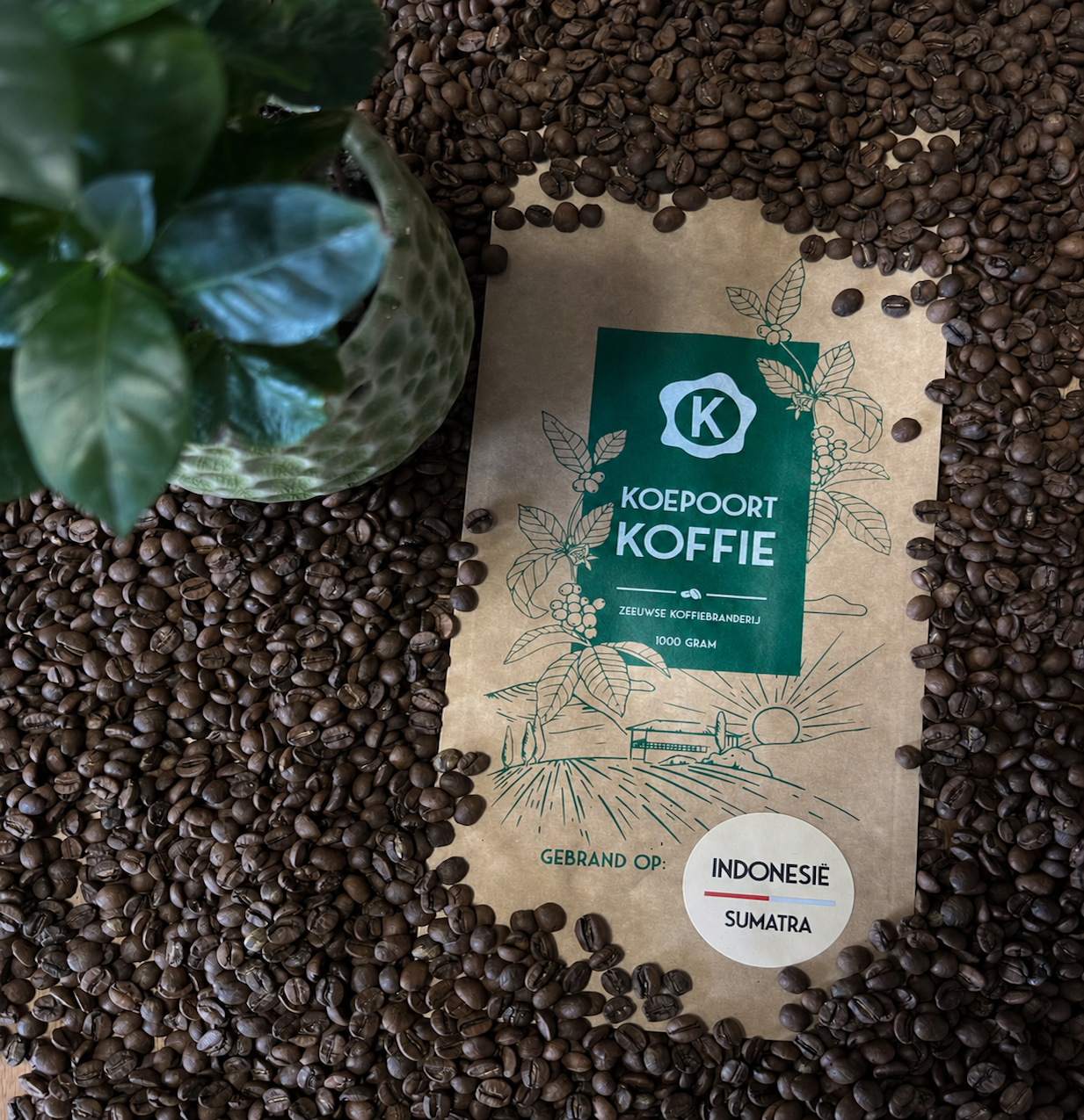 Indonesië Sumatra Mandheling vers gebrand 1000 gram