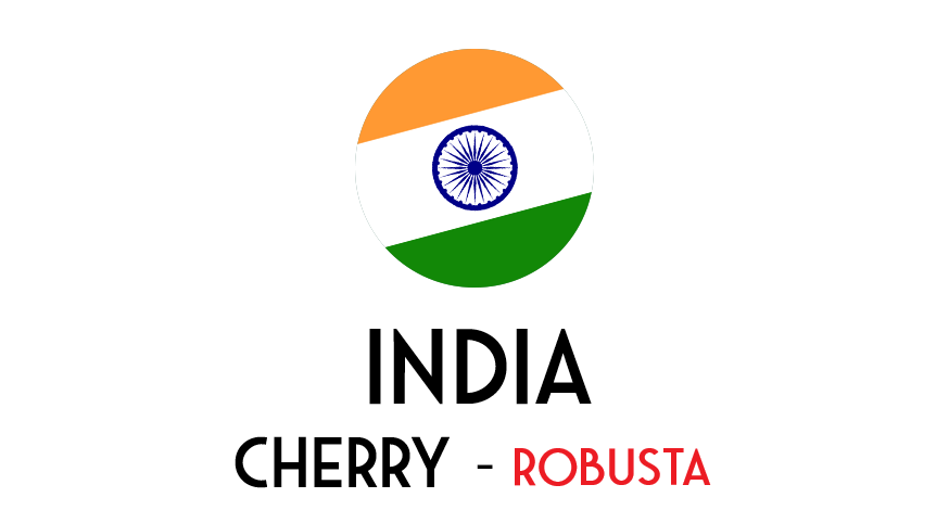 India Cherry AA - natural robusta - ongebrand - 1 kg