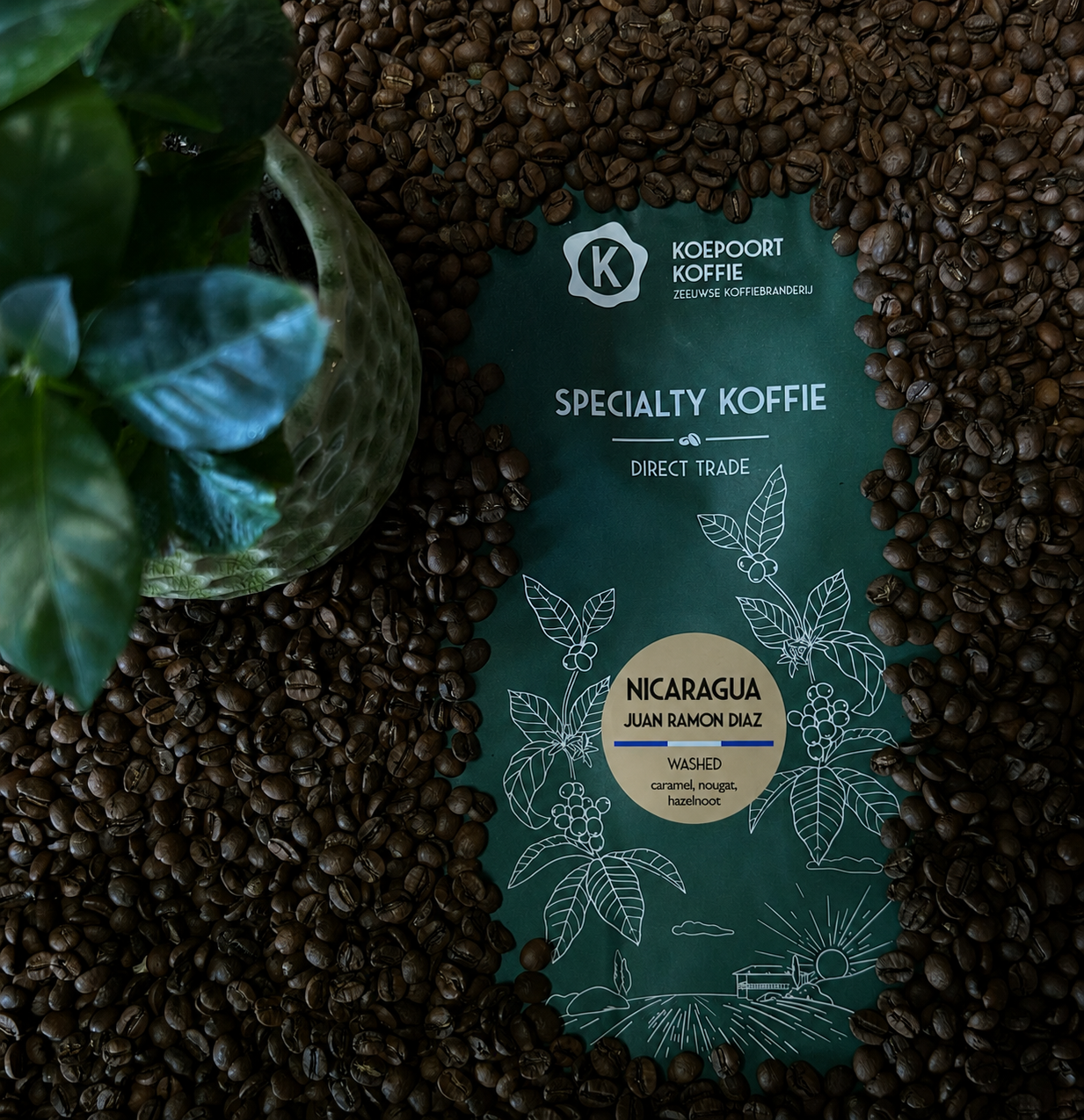 Nicaragua Santa Lucia Rojo Direct Trade vers gebrand 1000 gram