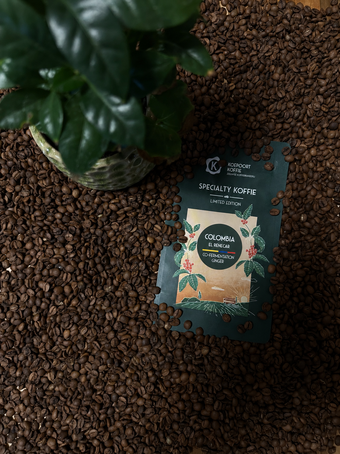 Limited Editions - Colombia El Renecar - Co-ferment gember- Direct Trade - vers gebrande koffie - 250 gram bonen