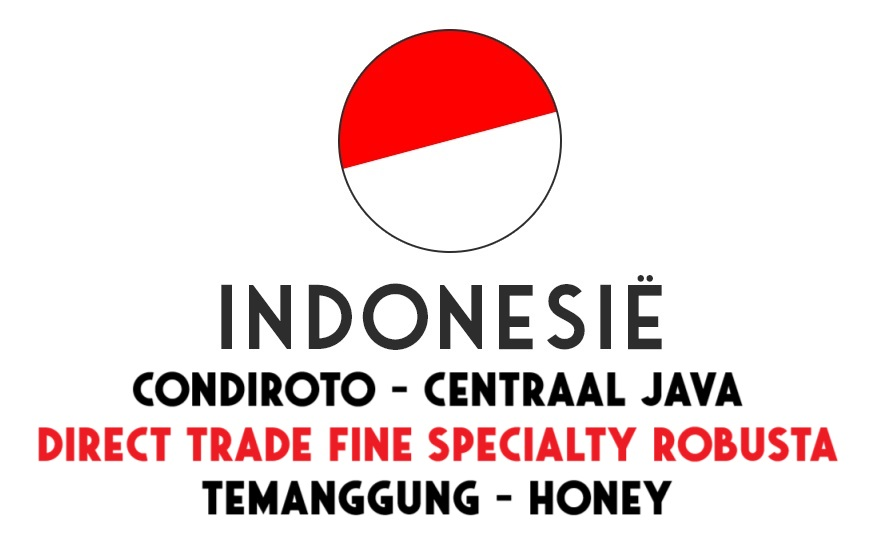 Indonesië Ontosoroh Coffee - Java Condiroto - honey robusta - Direct Trade - ongebrand - 1 kg
