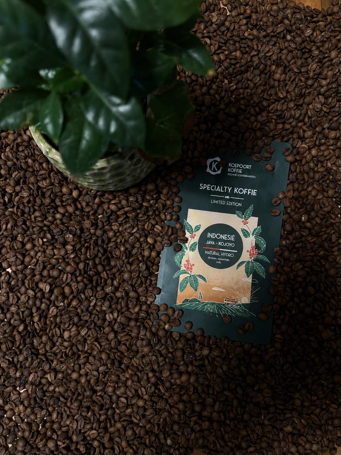 Limited Editions - Indonesië KoJoYo - natural hydro fermentation - Direct Trade - vers gebrande koffie - 250 gram bonen
