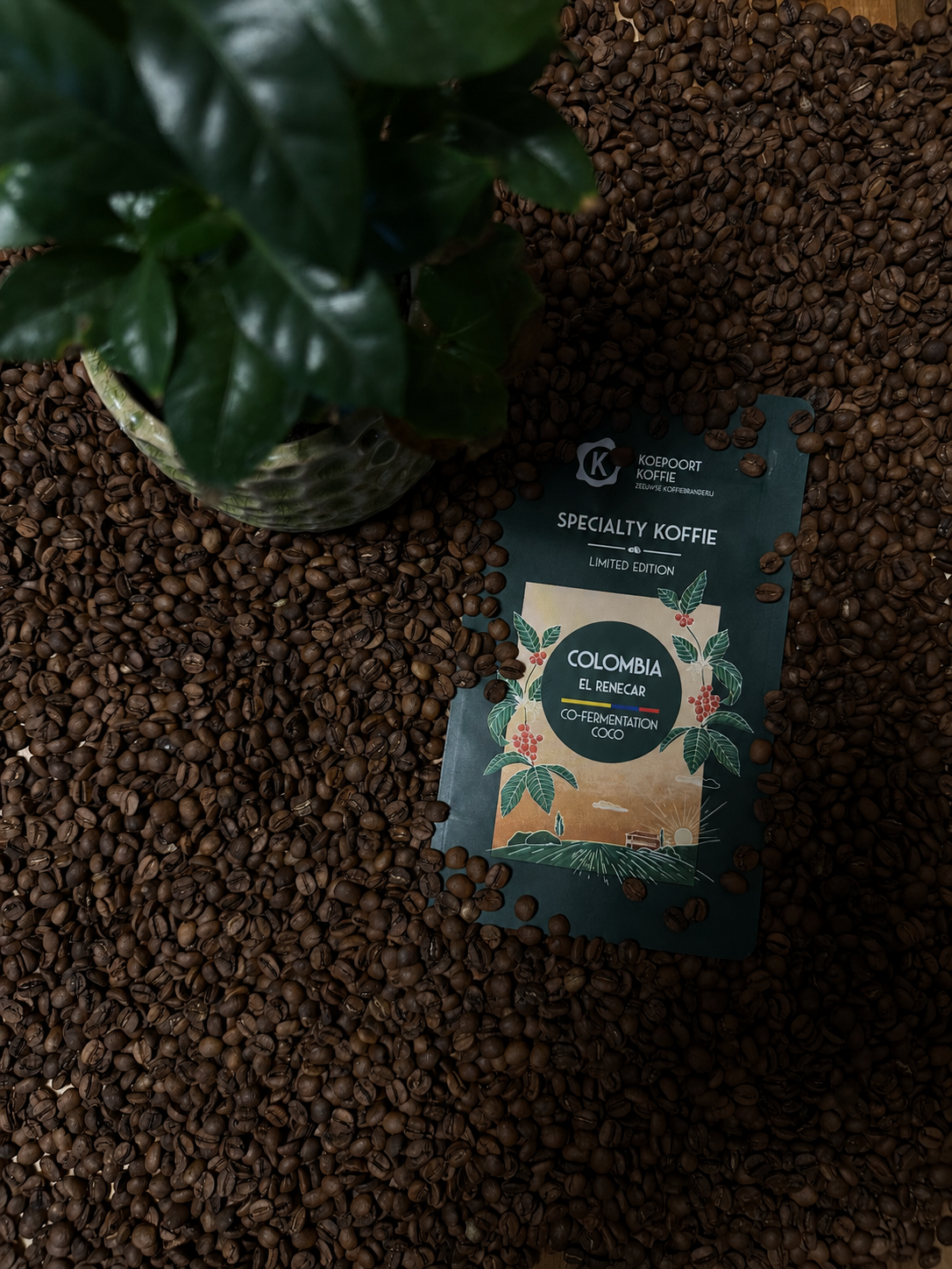 Limited Editions - Colombia El Renecar - Co-ferment kokosnoot - Direct Trade - vers gebrande koffie - 250 gram bonen