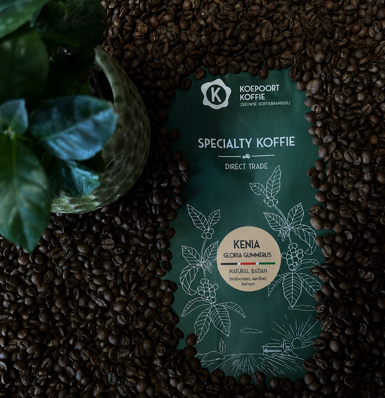 Kenia Sakami Gloria Natural Arabica Direct Trade vers gebrand 1000 gram