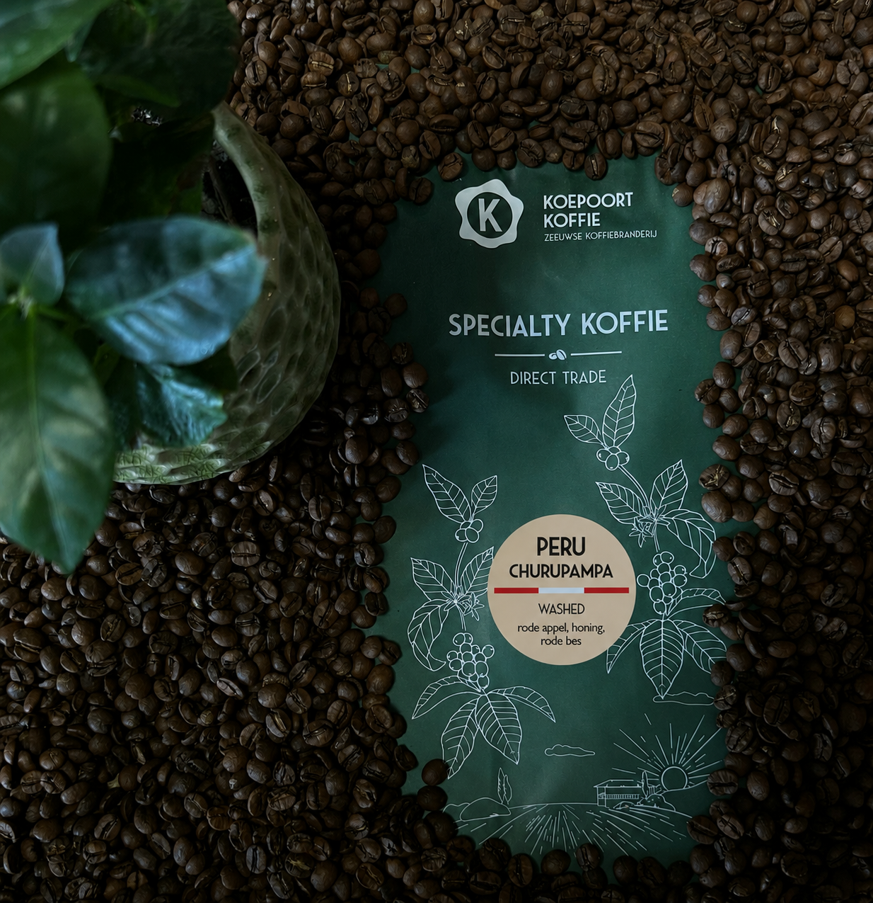 Peru Finca Churupampa Cordillera Andina microlot Direct Trade vers gebrand 1000 gram